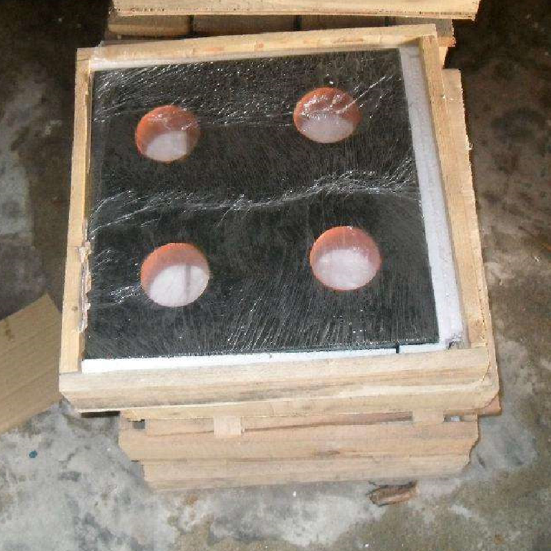 পৰিদৰ্শন শাসক