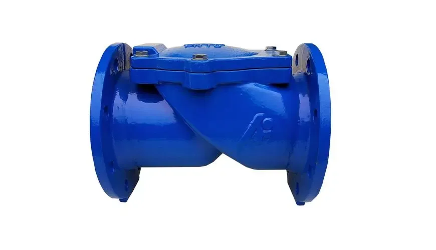 চেক ভালভ assy ৰ বিষয়ে অধিক পঢ়ক